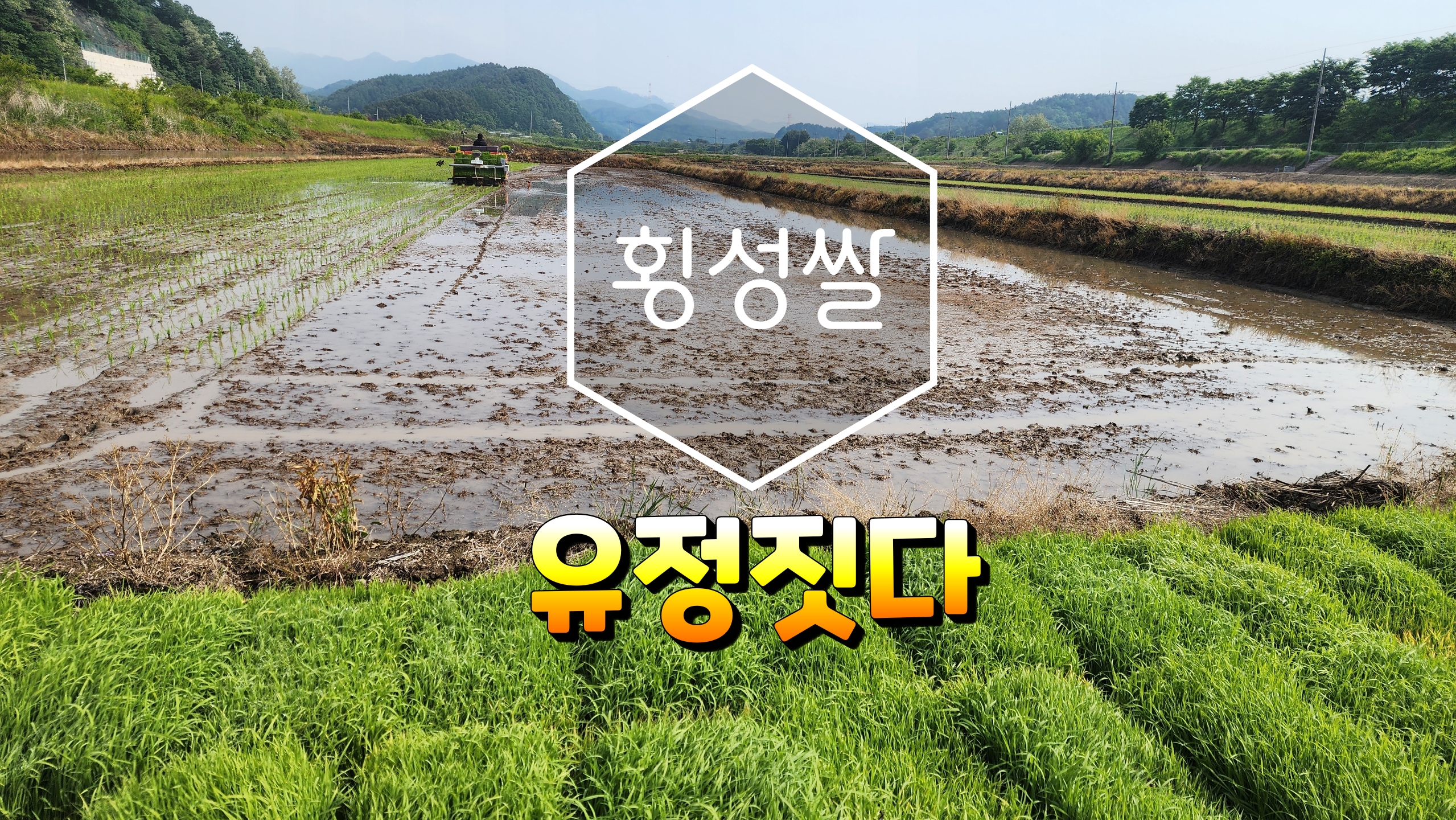 top_banner